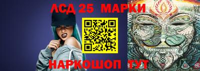 индика Аргун