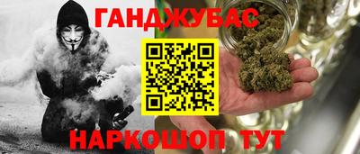 индика Аргун