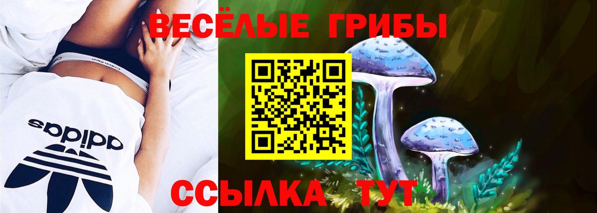 Галлюциногенные грибы мухоморы  Вход с VPN  купить  сайты  Валуйки 