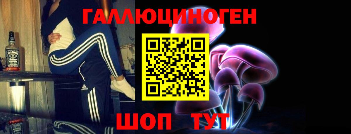 Галлюциногенные грибы Psilocybine cubensis Валуйки
